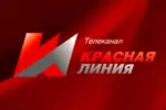 «Красная линия»: Липецкие коммунисты потребовали отмены электронного и трёхдневного голосования и отставки главы облизбиркома